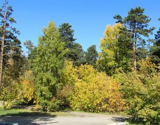 Курорт "Ангара"